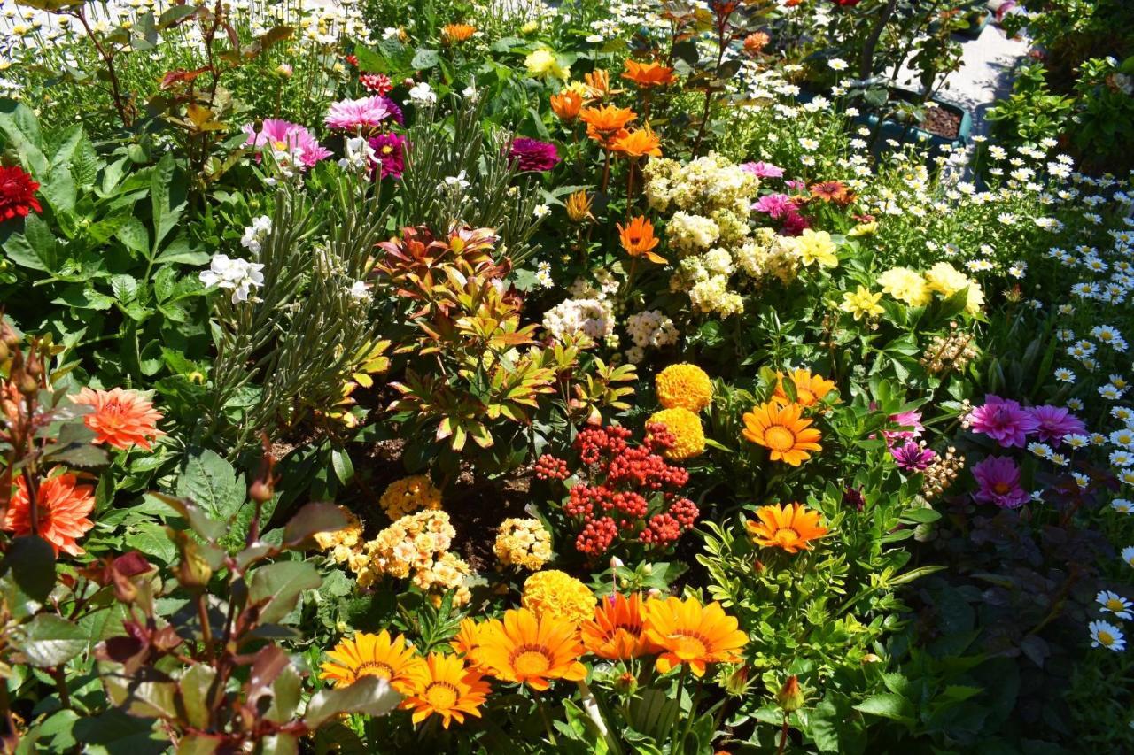Hotel Garden Terrace Old Provincia di Istanbul Esterno foto